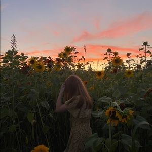 Meet your Posher, Jane